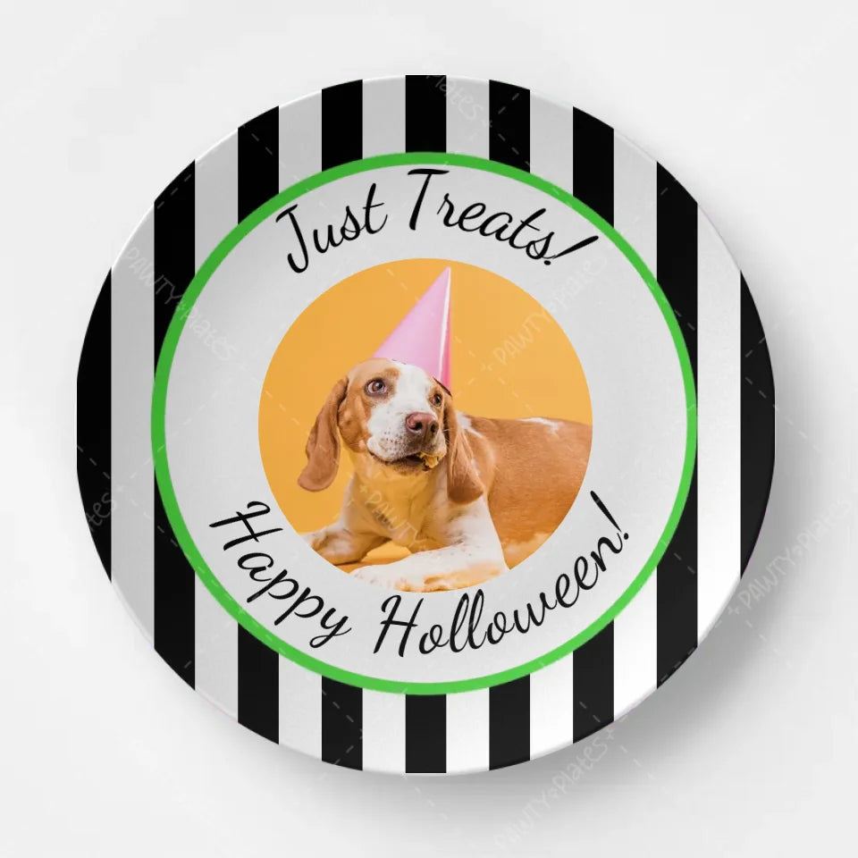 Pawty Plate™ Halloween Photo