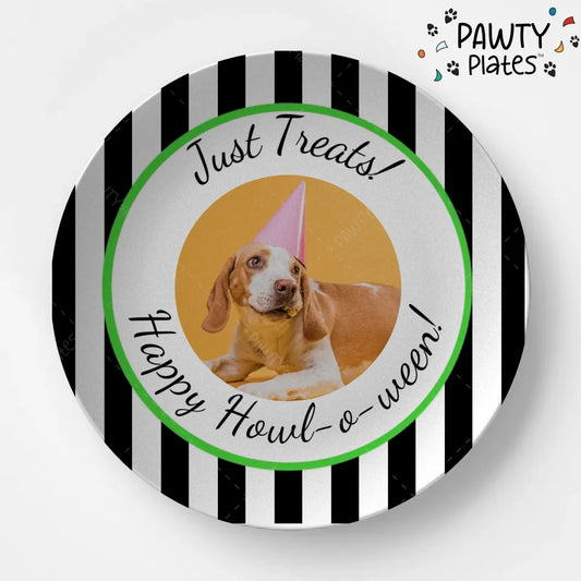 Pawty Plate™ Halloween Photo